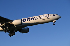 JAL 1343
