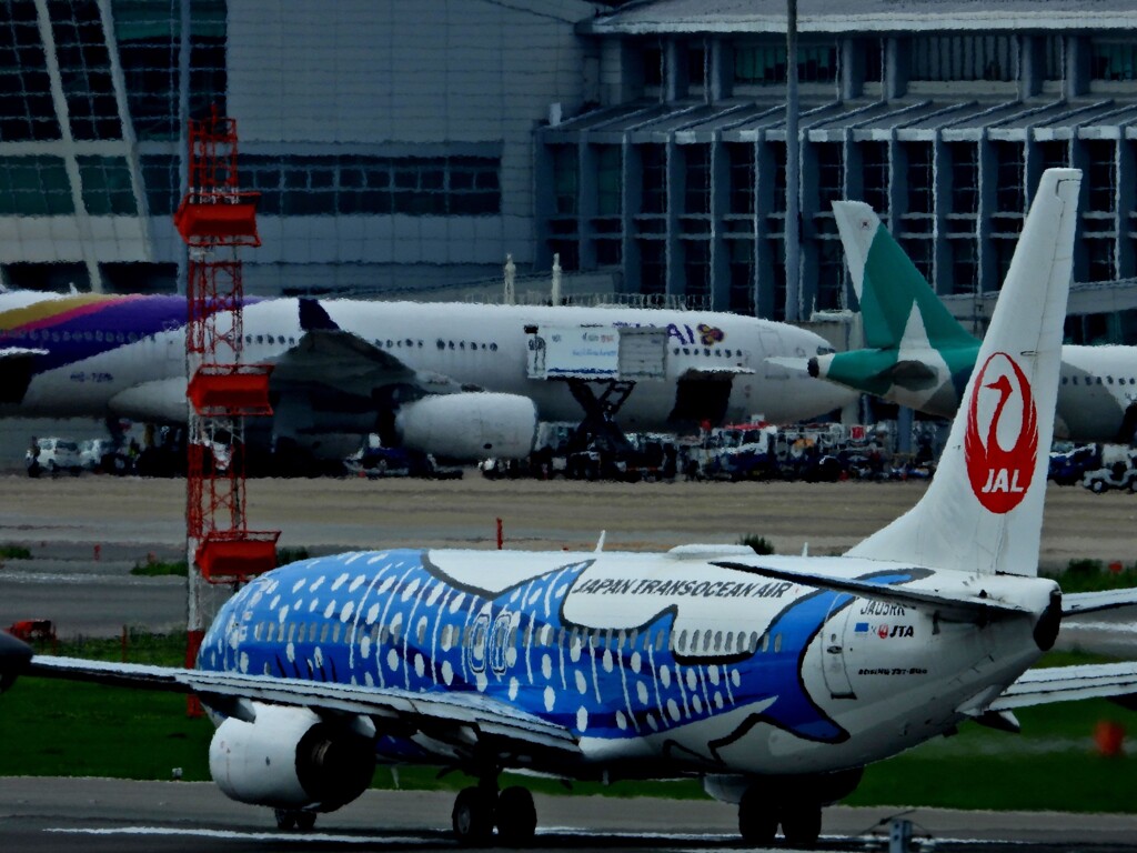 JAL 1319