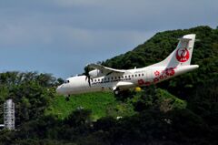 JAL 971