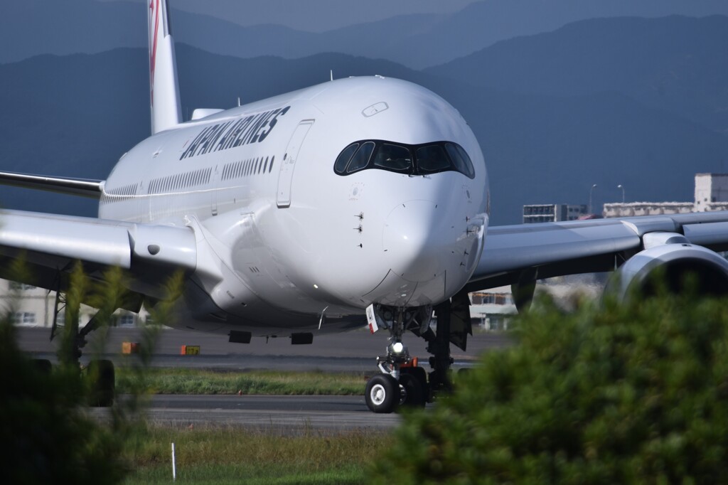 JAL 1055