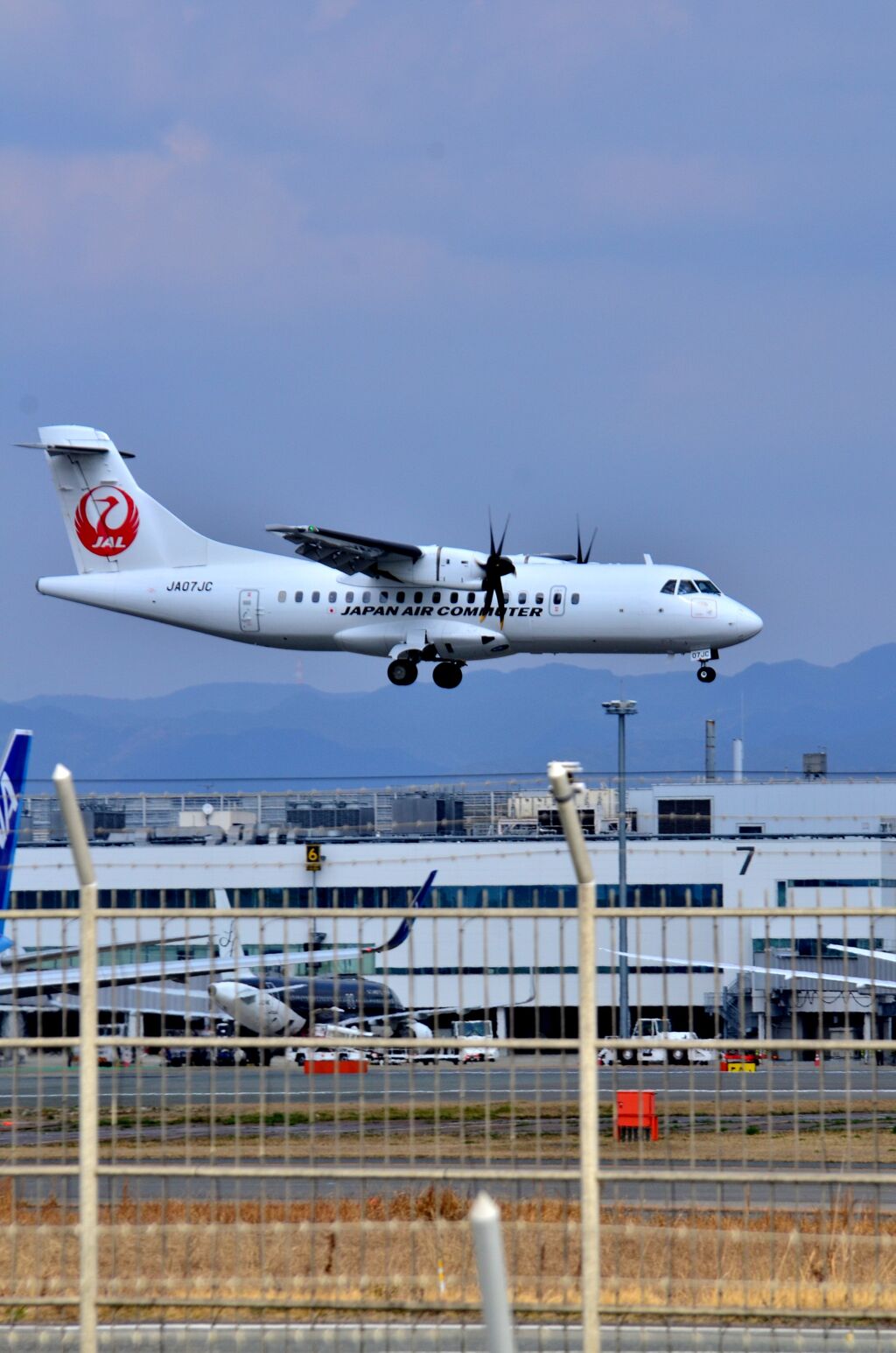 JAL 554