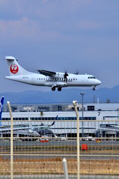 JAL 554