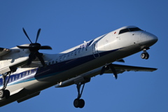 ANA 1298