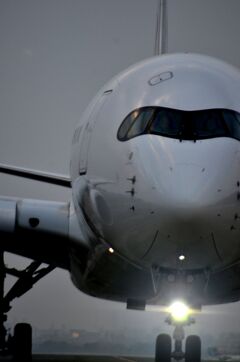 JAL 430