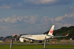 JAL 326