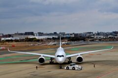 JAL 487