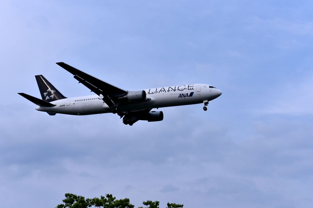 ANA 522