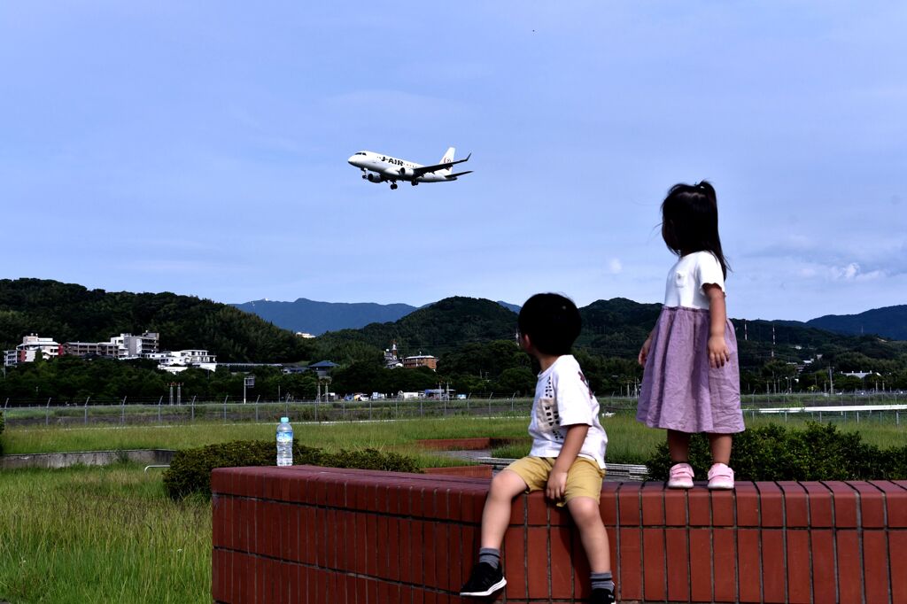 JAL 1099