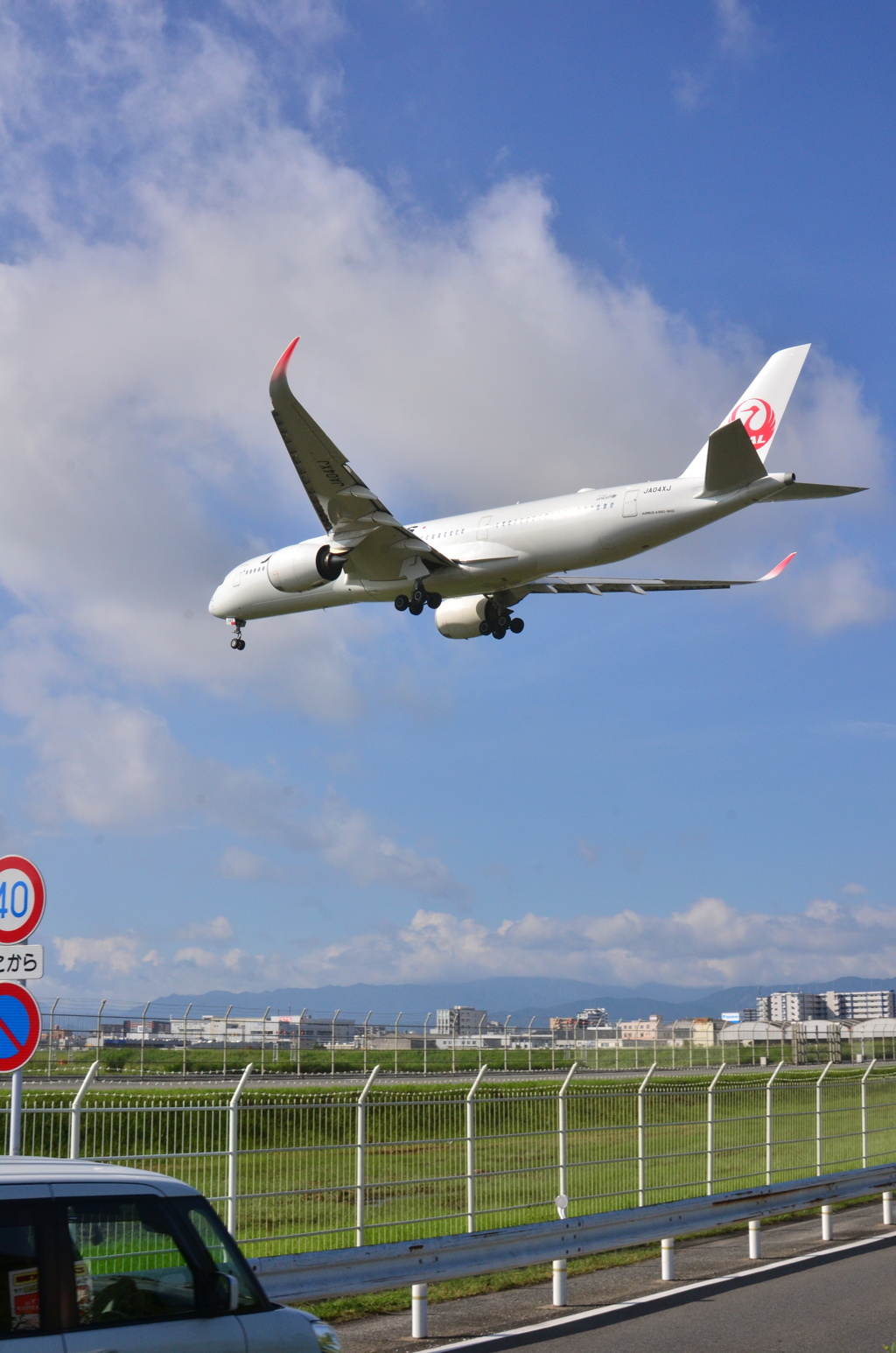 JAL 245