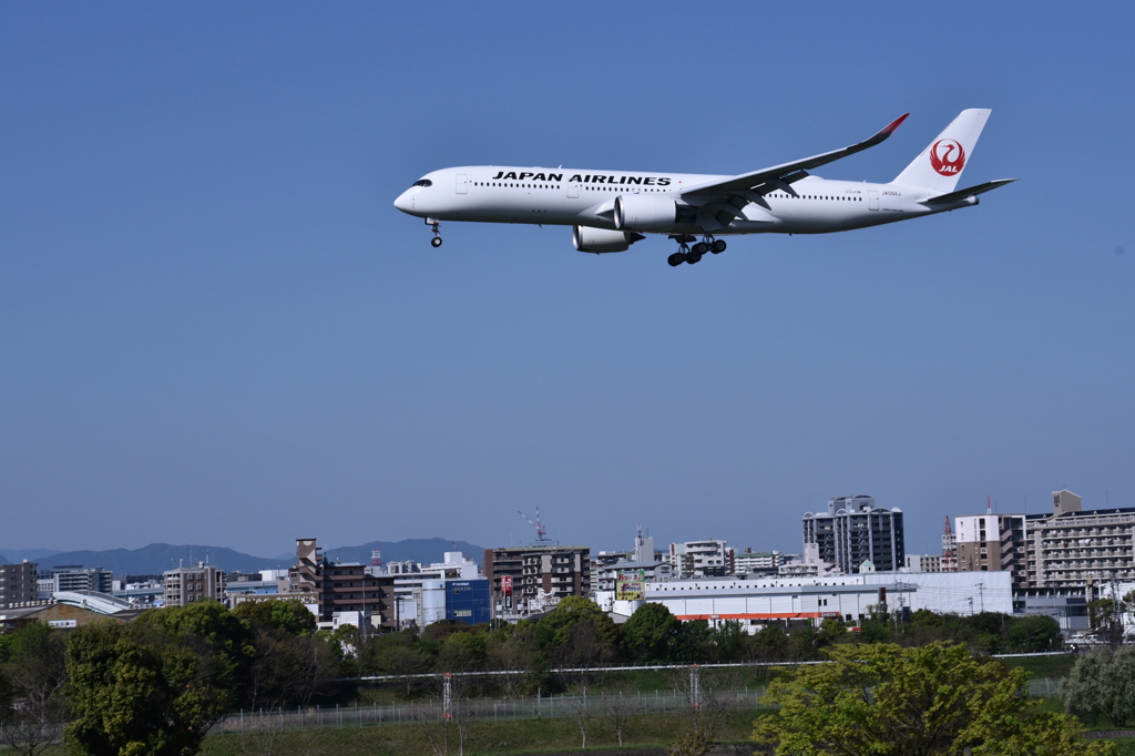 JAL 567