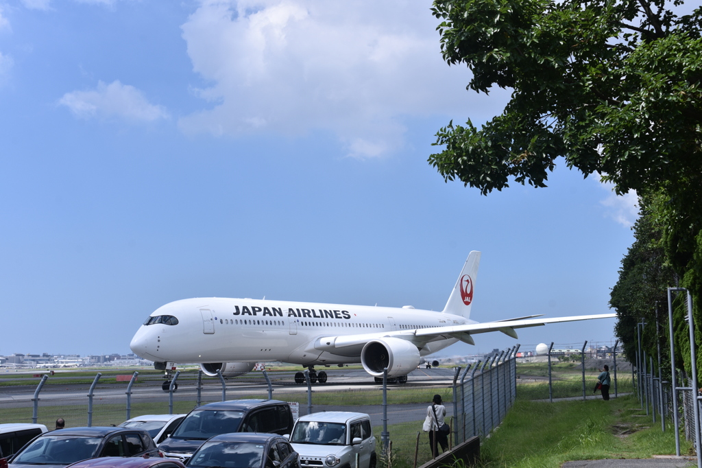 JAL 1016