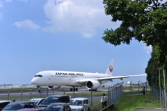 JAL 1016