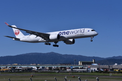 JAL 1000