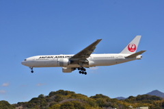 JAL 528