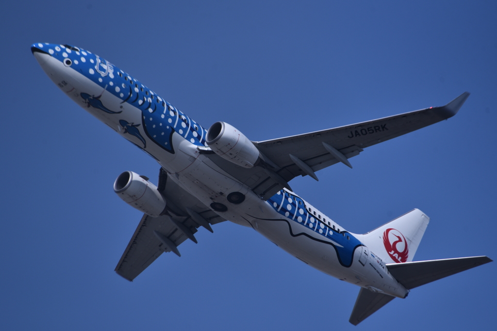 JAL 1168