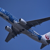 JAL 1168