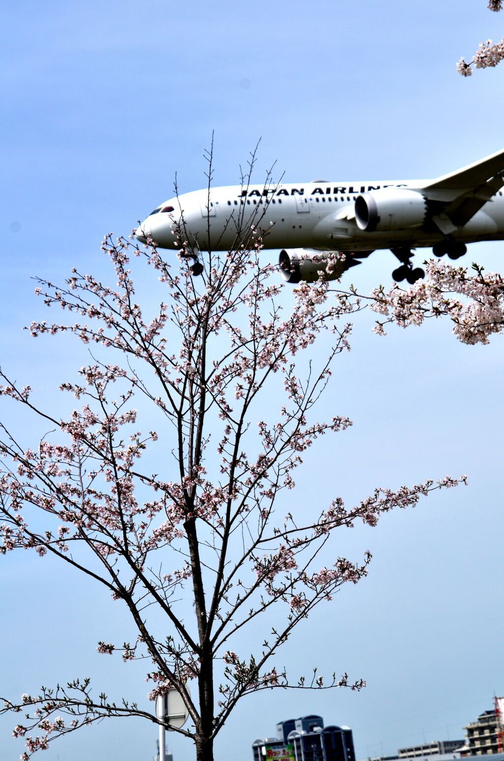 JAL 570