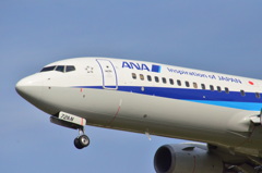 ANA 121