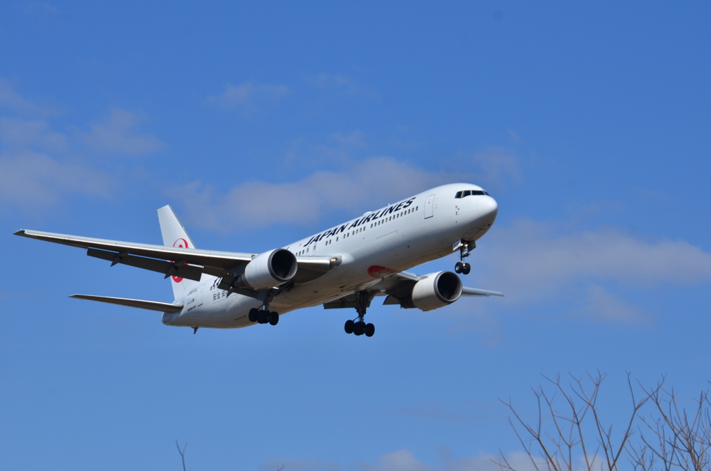 JAL 562