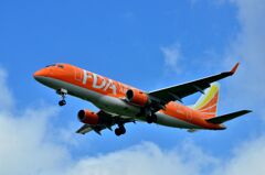 FDA 291