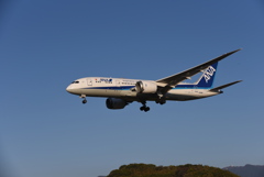 ANA 493