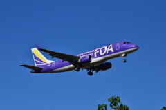FDA 138