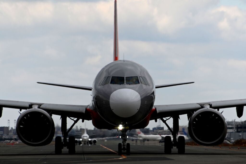 「千里浜辺の 砂の数」お正月ですから・・（＾＾；（JET 223）