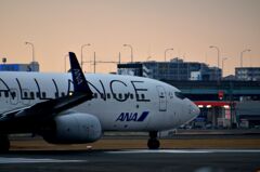 ANA 387