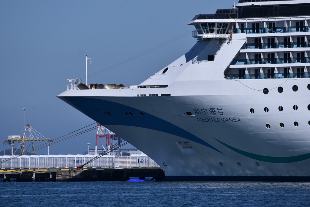 MEDITERRANEA   03
