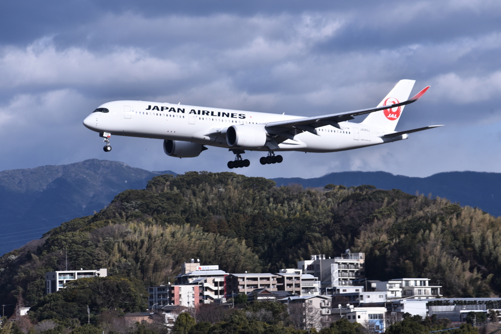 JAL 813