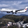 JAL 813