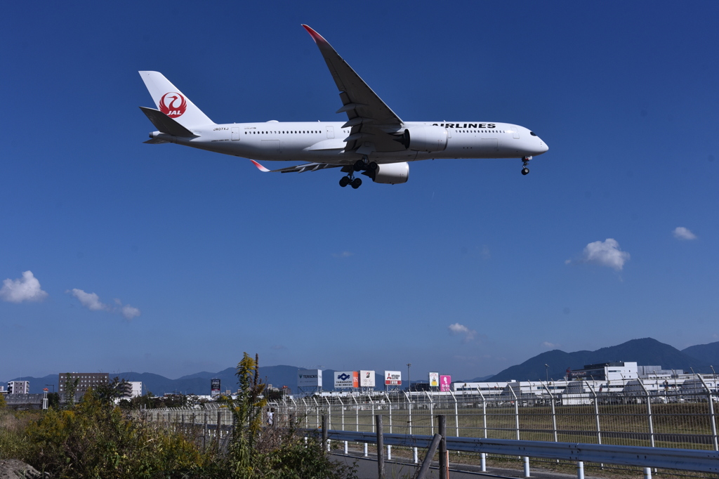 JAL 1075