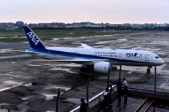 ANA 948