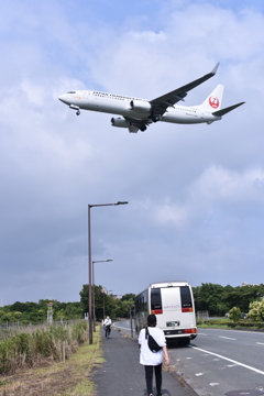 JAL 614
