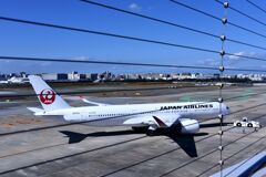 JAL 772