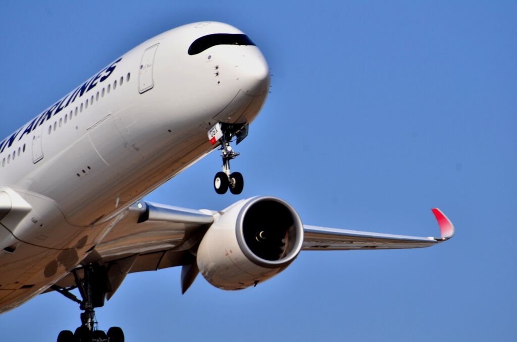 JAL 991