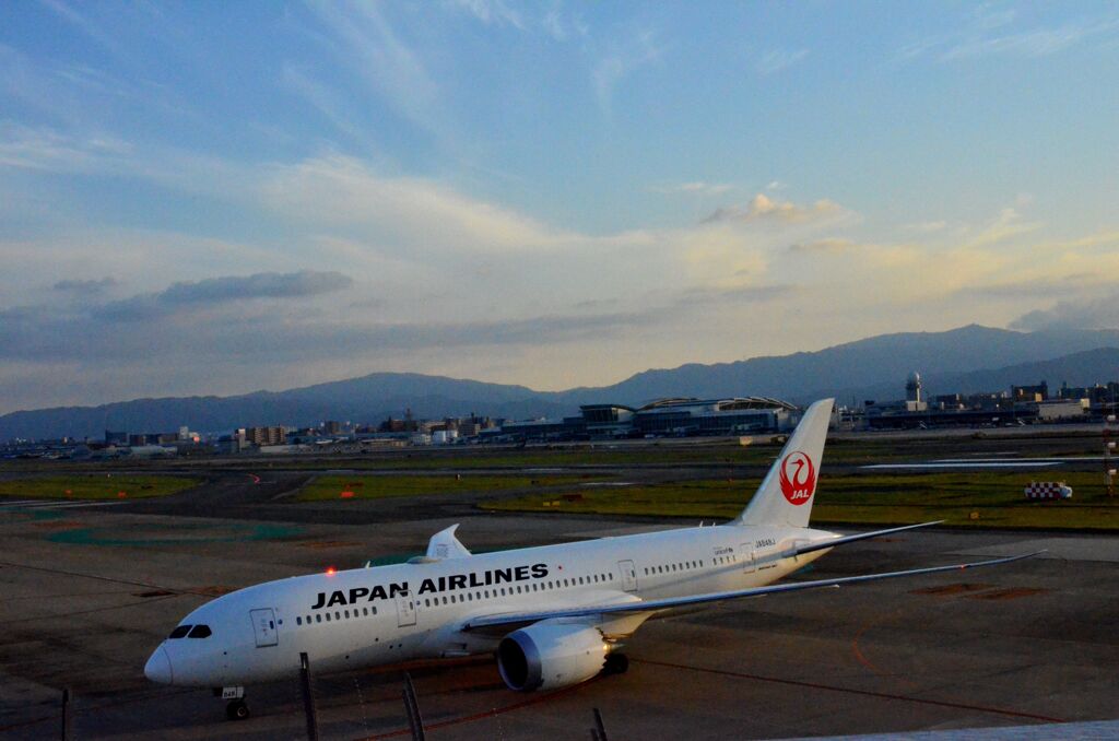 JAL 228