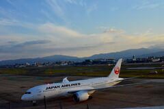 JAL 228