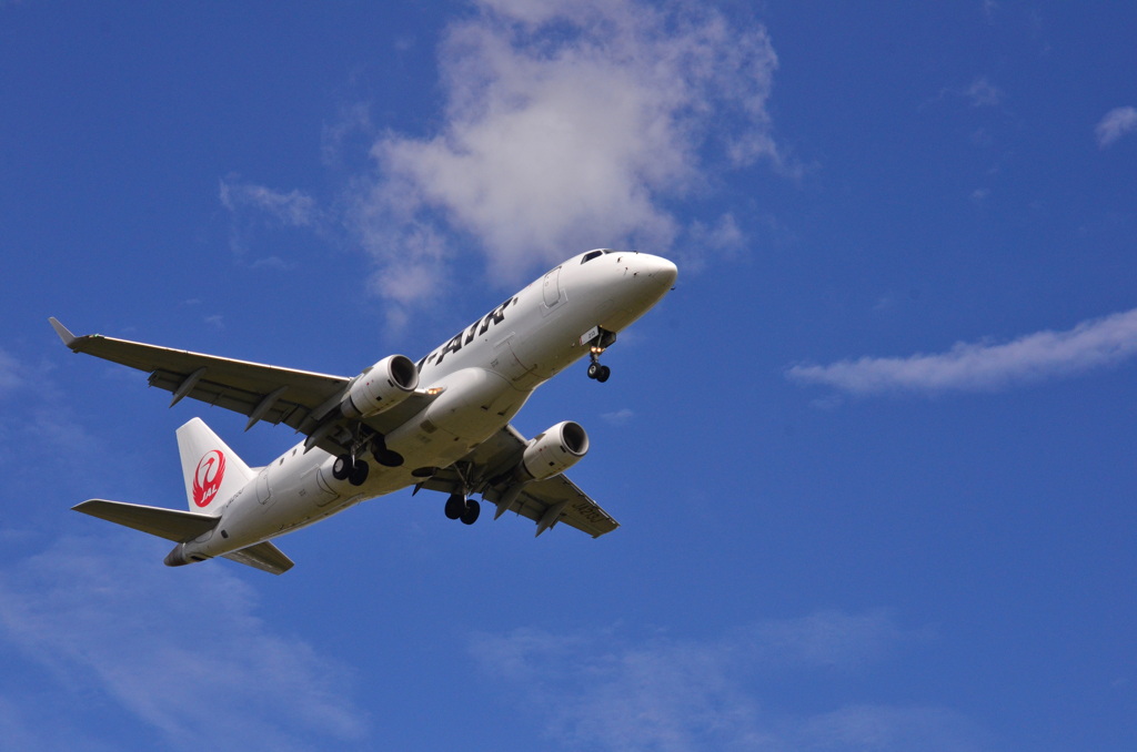 JAL 1284