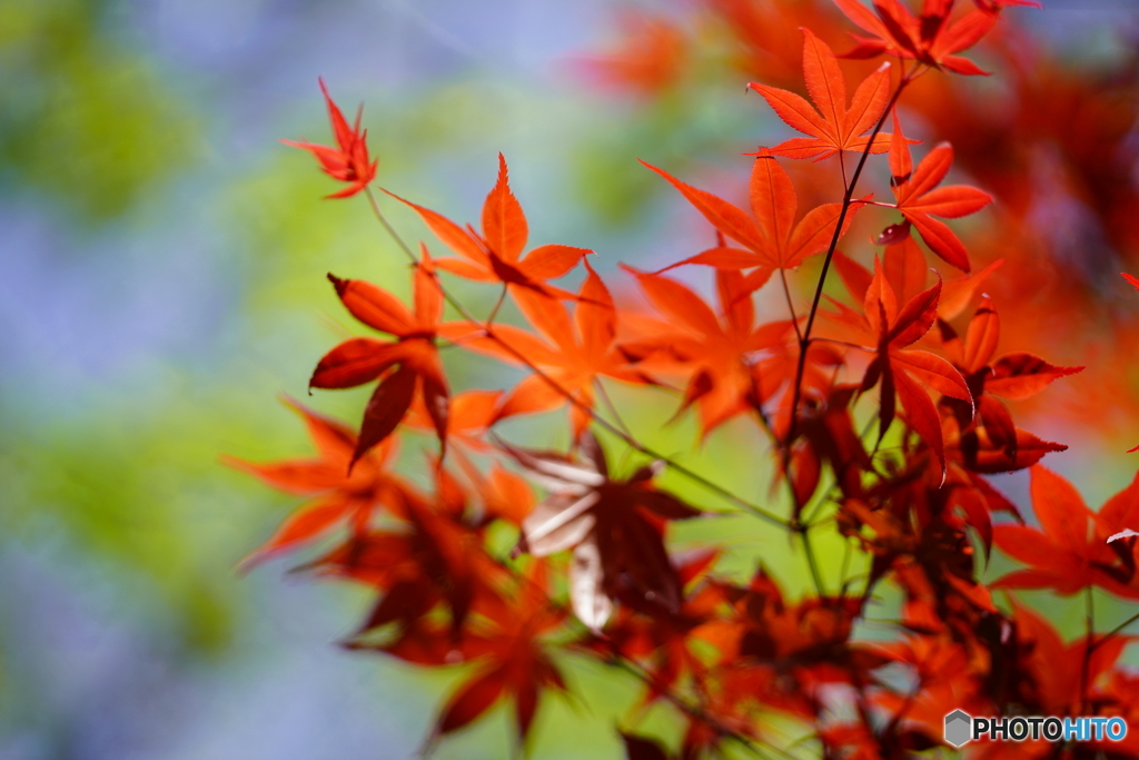 2021-04-18_太平山-2