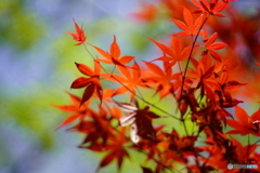 2021-04-18_太平山-2