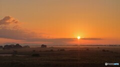 202110　渡良瀬遊水地