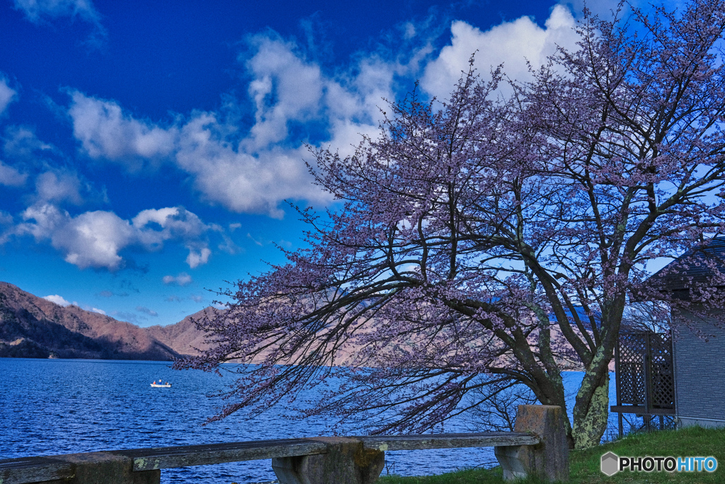 2021-05-02_中禅寺湖-2