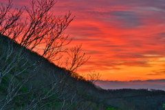 2020_峠の茶屋駐車場(2)