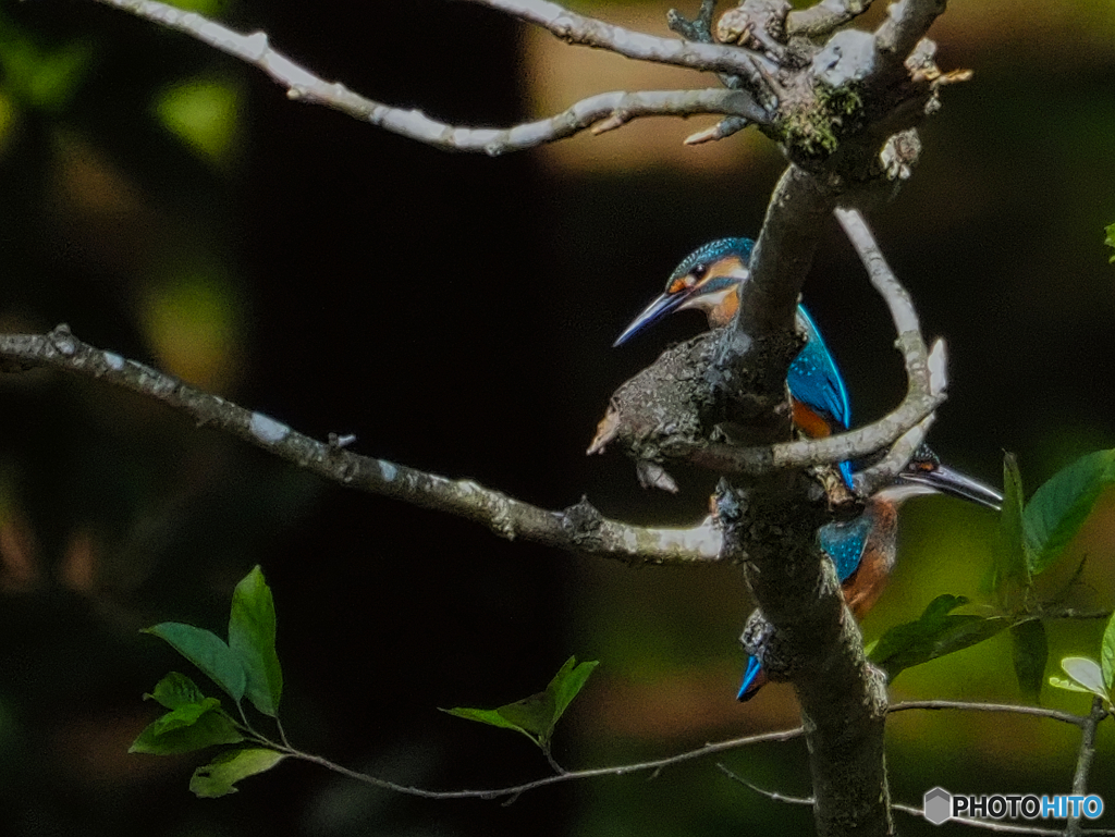 2021-07-31_井頭公園-3