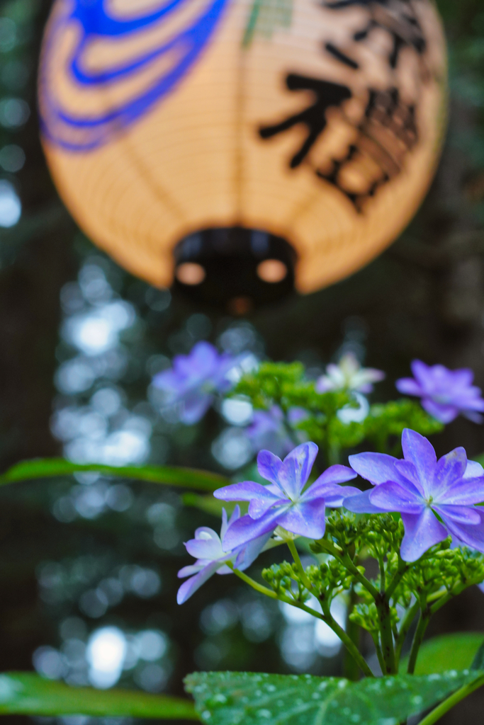 2023-06-11_磯山神社-2