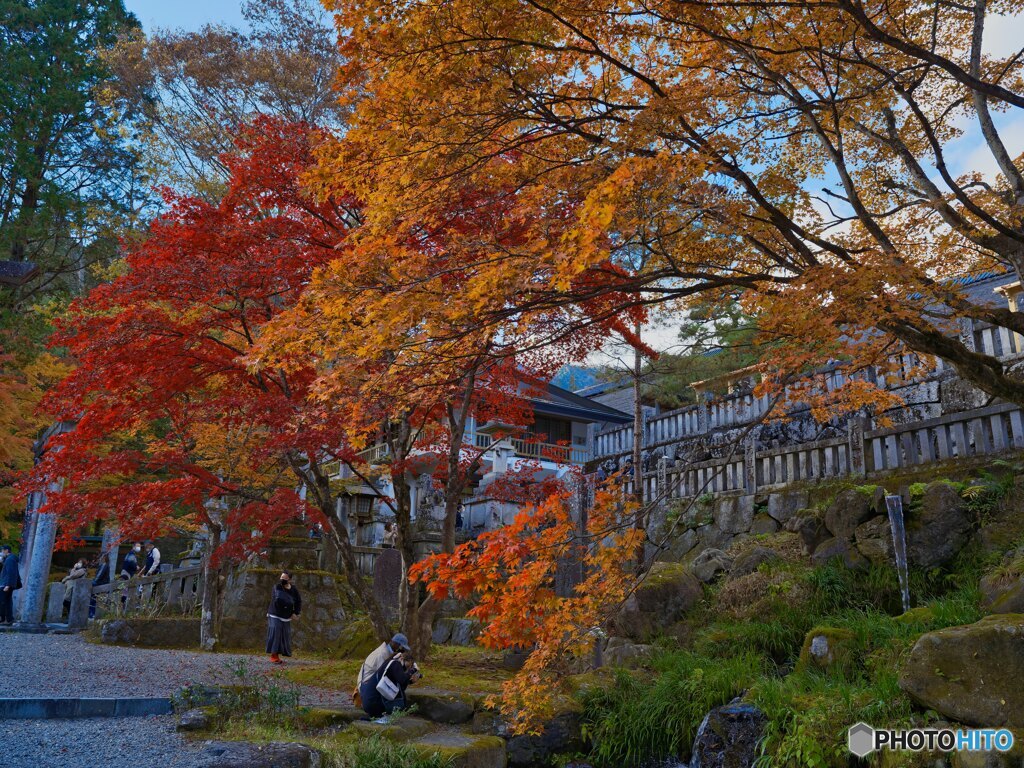 2021-11-06_古峯神社-1