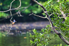 2023-06-18_栃木県井頭公園-2