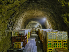 2021-08-12_島崎酒造 どうくつ酒蔵