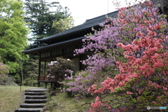 2021-04-30_日光田母沢御用邸記念公園-6
